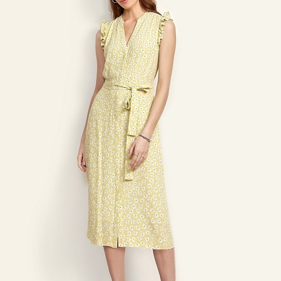 Ann Taylor Dresses & Skirts - Floral tie waist, button down dress